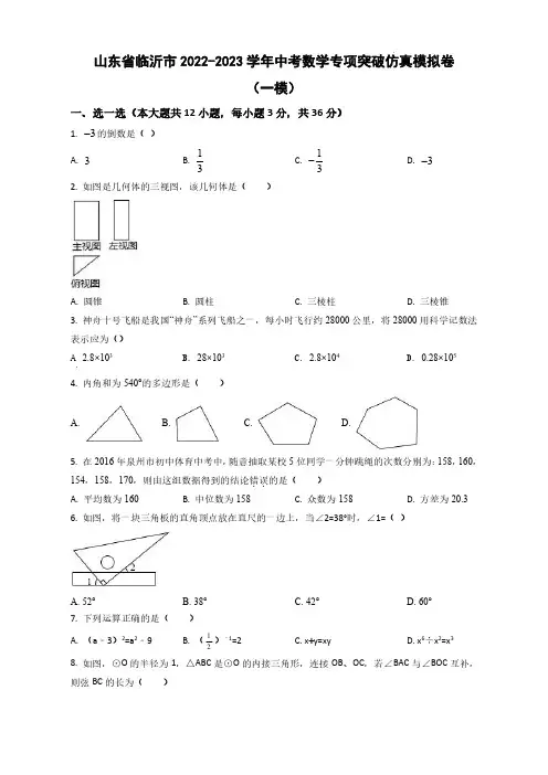 山东省临沂市2022——2023学年中考数学专项突破仿真模拟卷(一模二模)含答案