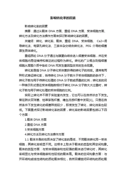 影响转化率的因素