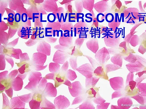 Email邮件营销案例