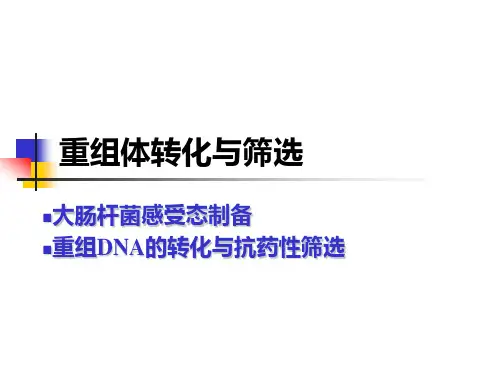 感受态的制备与抗药性筛选