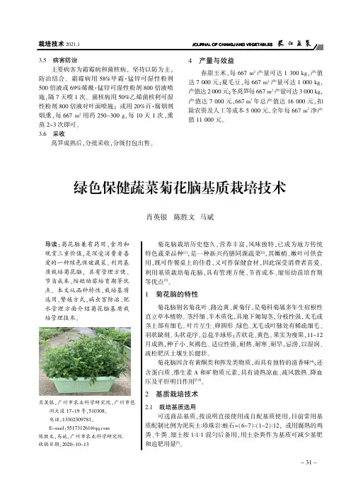 绿色保健蔬菜菊花脑基质栽培技术