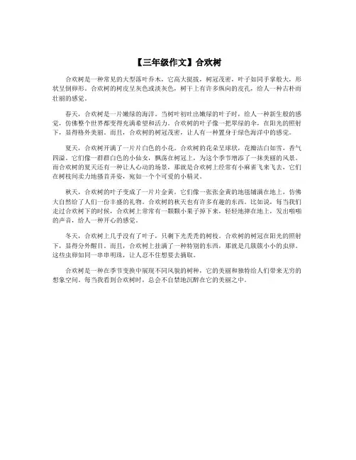 【三年级作文】合欢树