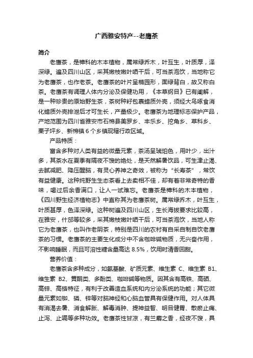 广西雅安特产--老鹰茶