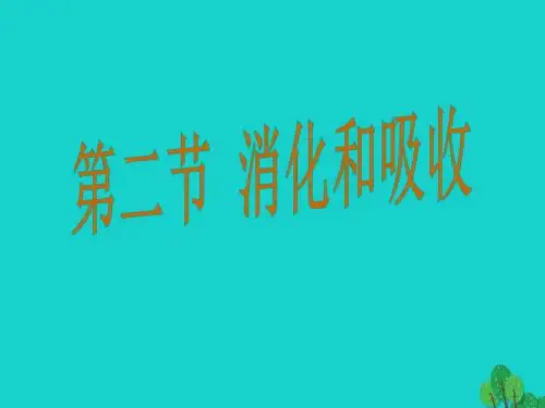 七年级生物下册第二章第二节消化和吸收课件(新版)新人教版