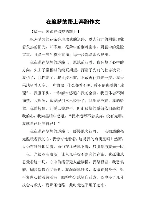 在追梦的路上奔跑作文