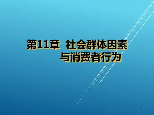 消费者行为学第章社会群体因素与消费者行为PPT课件