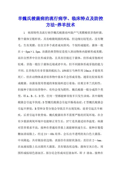 羊魏氏梭菌病的流行病学、临床特点及防控方法 - 养羊技术