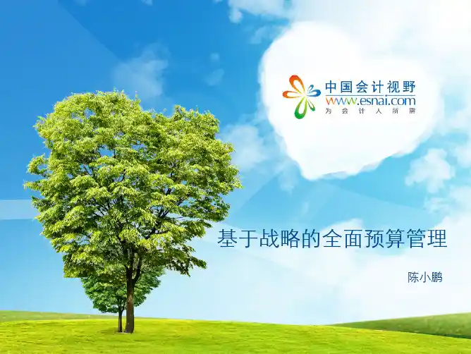 基于战略的全面预算管理PPT