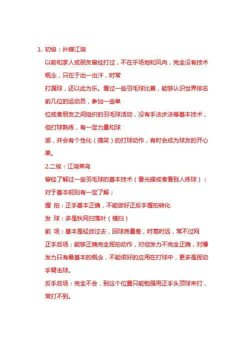 羽毛球级别鉴定