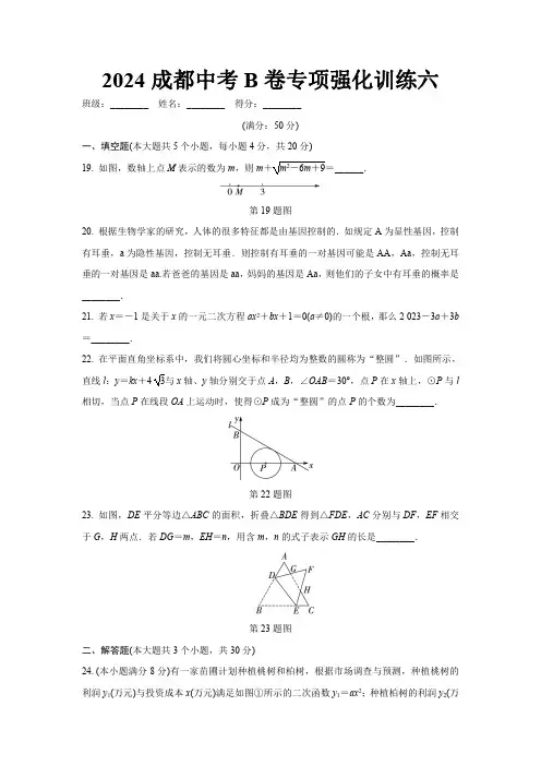 2024成都中考数学B卷专项强化训练六 (含答案)