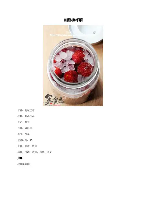 自酿杨梅酒 - 美食杰