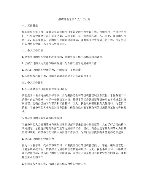 组织部新干事个人工作计划