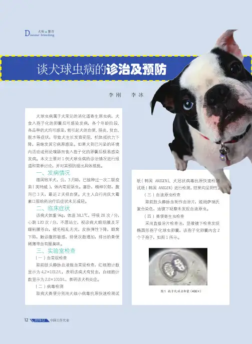 谈犬球虫病的诊治及预防