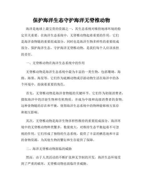 保护海洋生态守护海洋无脊椎动物