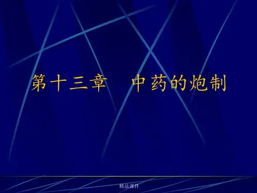 第十三章中药的炮制ppt课件