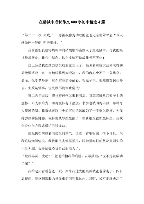 在尝试中成长作文600字初中4篇精选