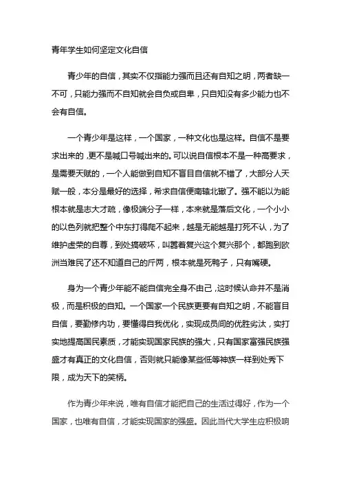 青年学生如何坚定文化自信