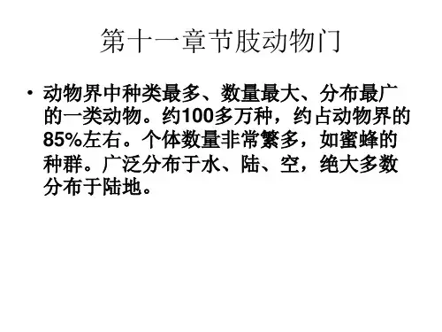 高中生物课件-节肢动物门