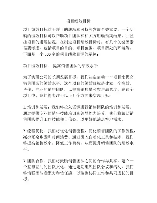 项目绩效目标