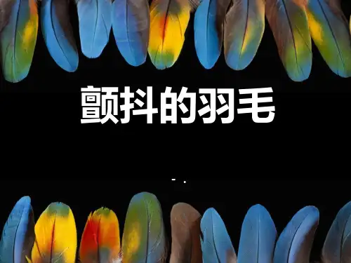 《颤抖的羽毛》PPT课件