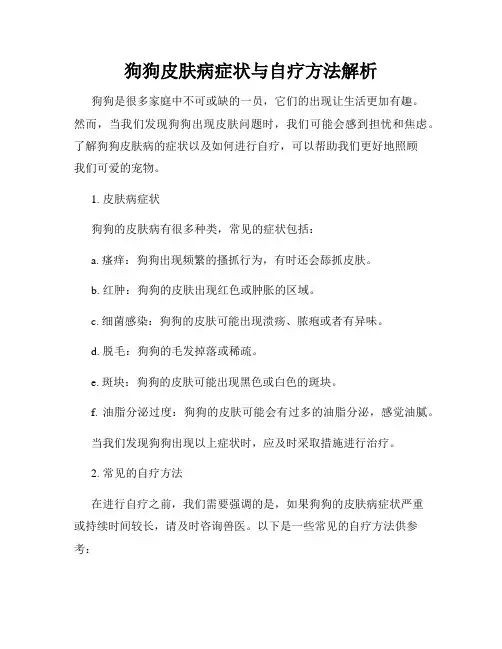 狗狗皮肤病症状与自疗方法解析