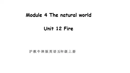 牛津上海版(三起)英语五年级上册Module 4 Unit 12 Fire第二课时课件