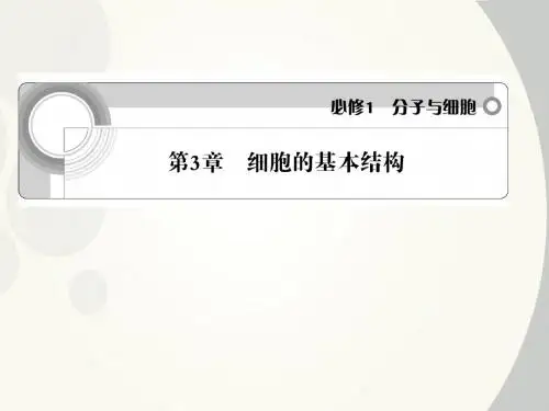高中生物 第3章 细胞的基本结构学案与测评课件 新人教版必修1