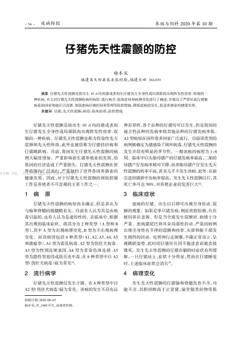 猪先天性震颤的防控
