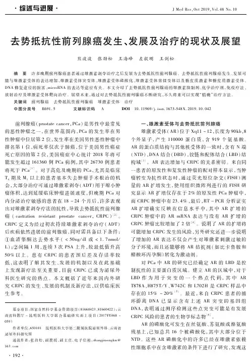 去势抵抗性前列腺癌发生、发展及治疗的现状及展望
