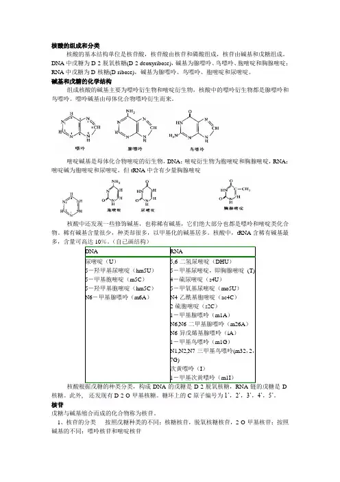 核酸的组成和分类