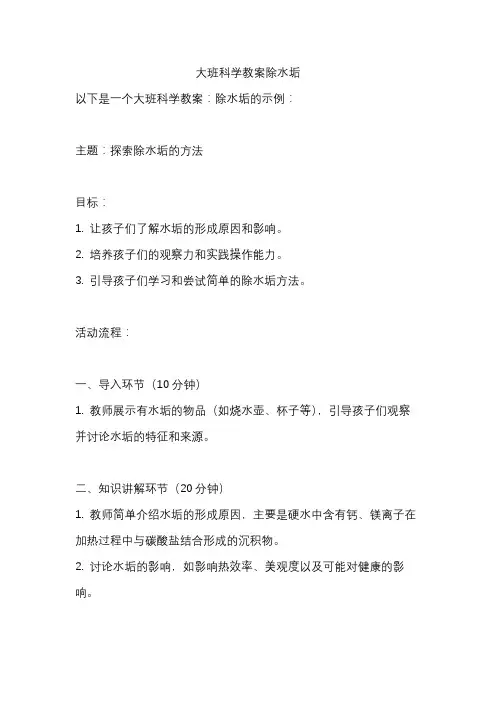 大班科学教案除水垢