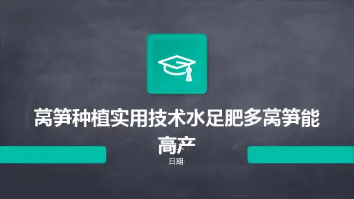莴笋种植实用技术水足肥多莴笋能高产