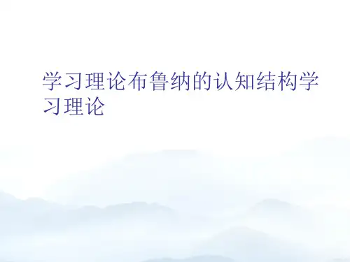 学习理论布鲁纳的认知结构学习理论优质文档