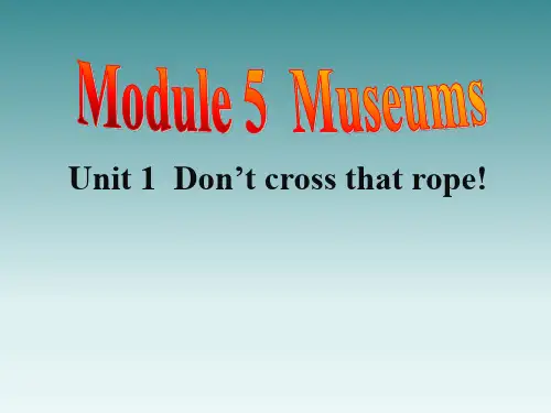 外研版九年级英语上册Module5 Unit1课件