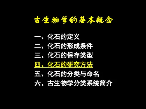 第3讲 化石的形成与古生物学PPT课件