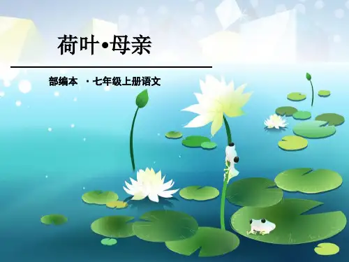 《荷叶·母亲》PPT 图文
