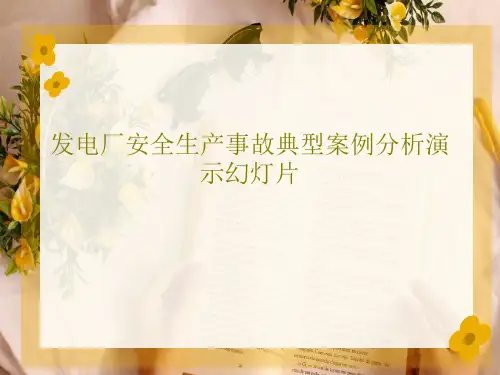 发电厂安全生产事故典型案例分析演示幻灯片79页PPT