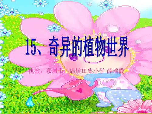 奇异的植物世界PPT课件