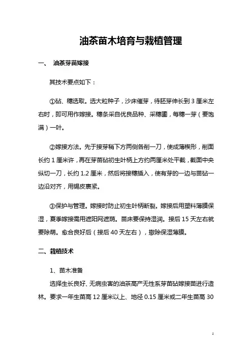 油茶的栽植及管理
