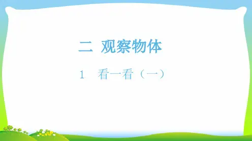 北师大版一年级下册数学课件-1看一看(一)(共11张PPT).ppt