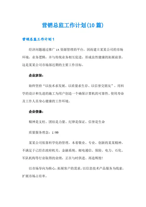 营销总监工作计划(10篇)