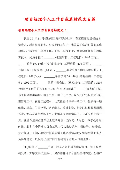 项目经理个人工作自我总结范文6篇