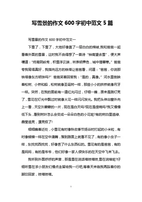 写雪景的作文600字初中范文5篇