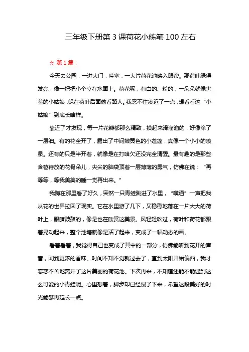 三年级下册第3课荷花小练笔100左右