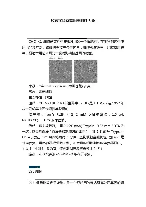 收藏实验室常用细胞株大全