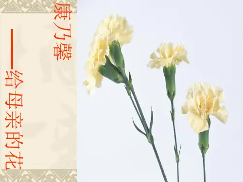 爱莲说优秀-完整版PPT课件