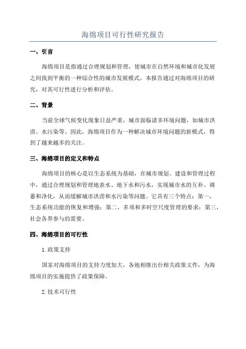 海绵项目可行性研究报告
