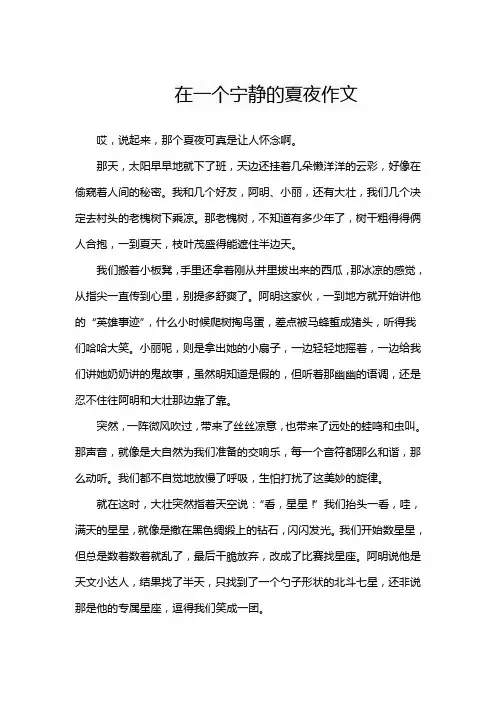 在一个宁静的夏夜作文