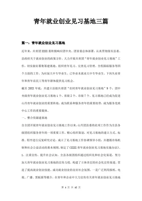 青年就业创业见习基地三篇