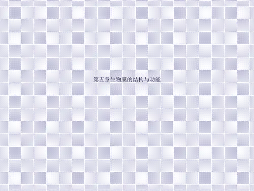 第五章生物膜的结构与功能